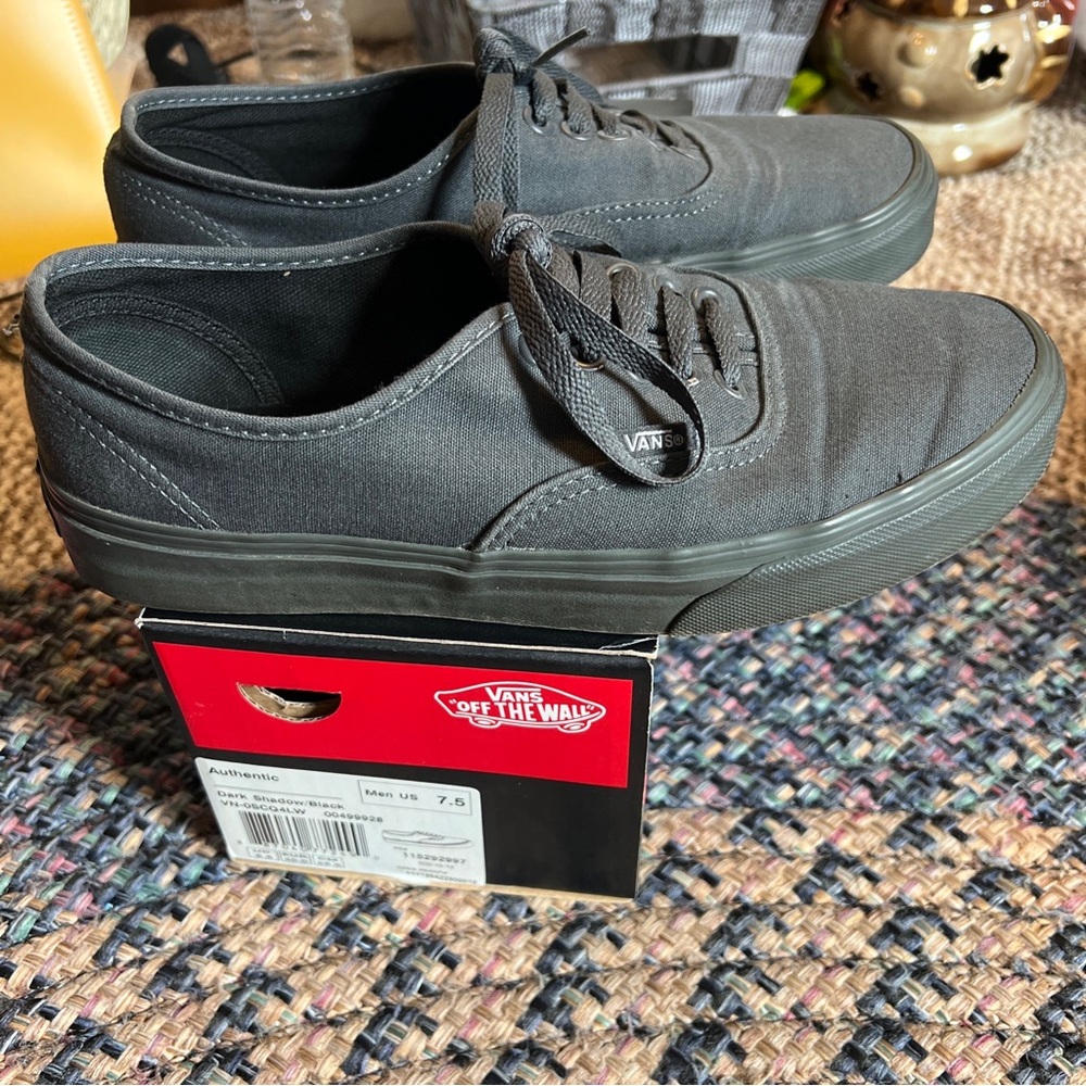 Vans authentic canvas skate shoes